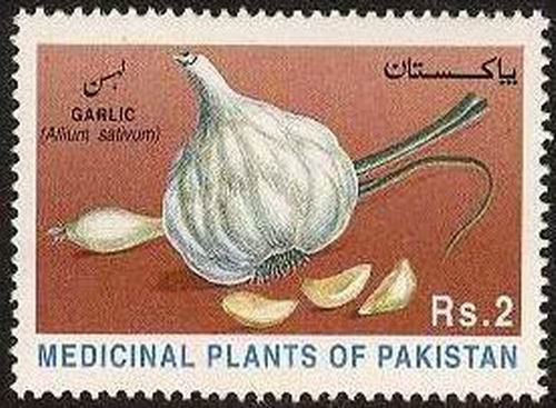 (image for) Pakistan Stamps 1997 Medicinal Plants Allium Satium Linn–Lahsan