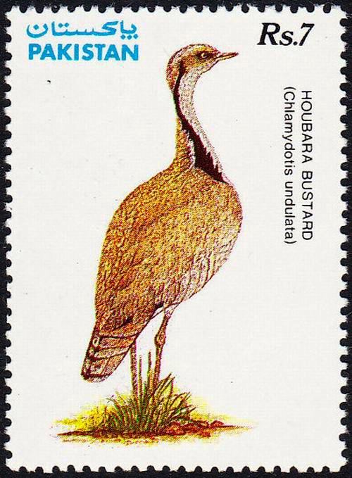 (image for) Pakistan Stamps 1991 Hubara Bustard