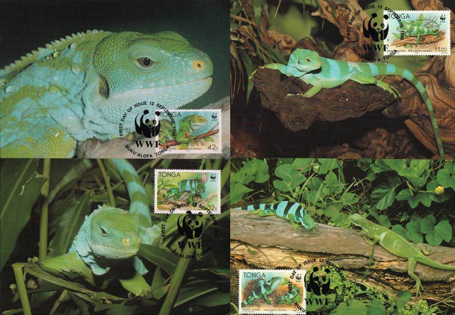 (image for) WWF Tonga 1990 Maxi Cards Banded Iguana