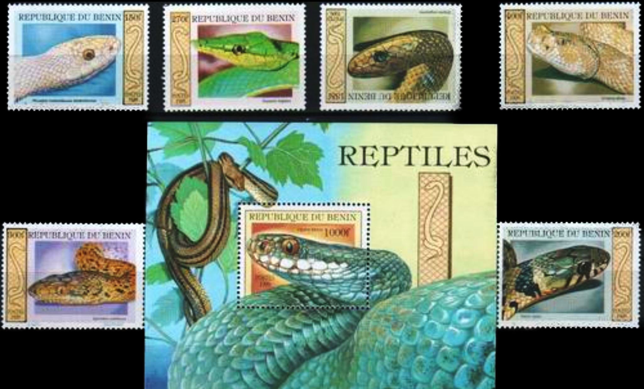 (image for) Benin 1999 S/Sheet & Stamps Snakes