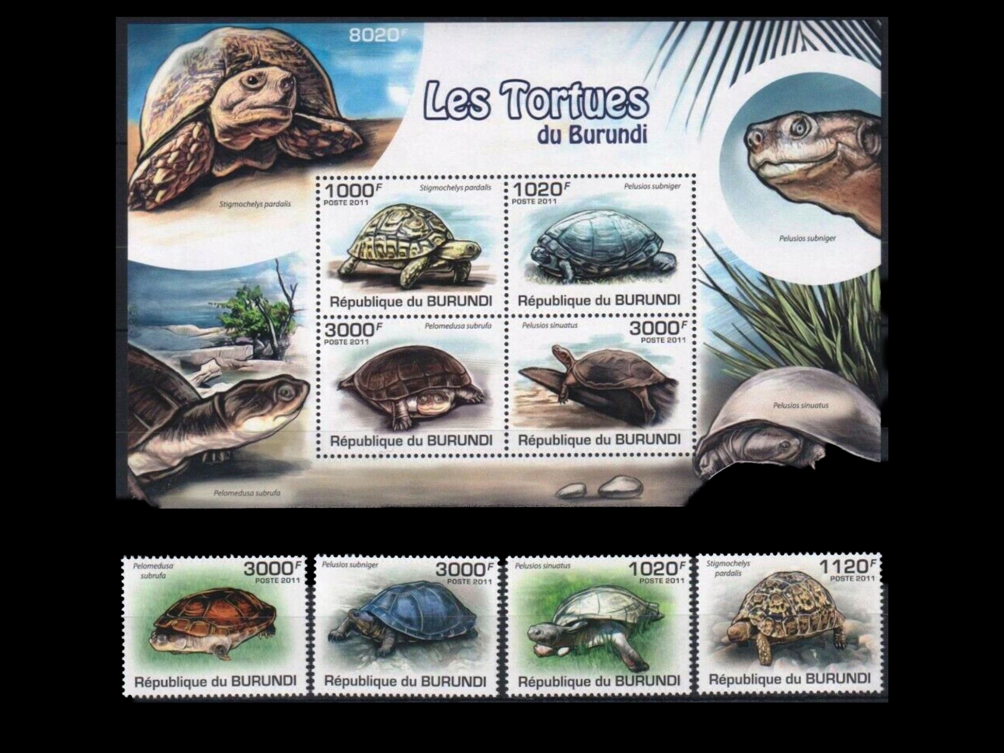 (image for) Burundi 2011 S/Sheet & Stamps Turtles
