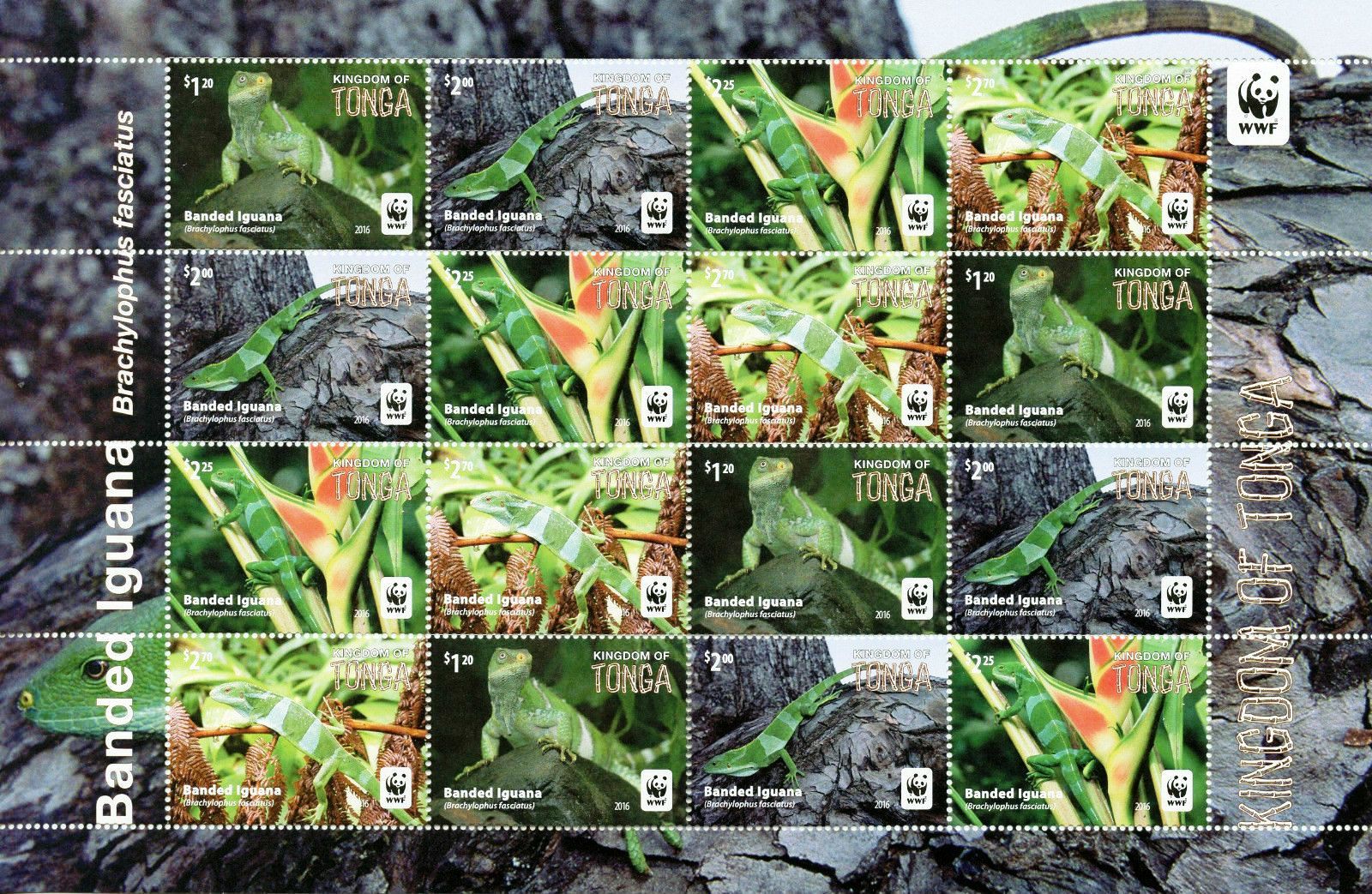 (image for) WWF Tonga 2016 Stamps Sheet Banded Iguana MNH