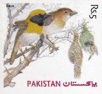 (image for) Pakistan Stamp 1976 Bird Baya Unissued MNH
