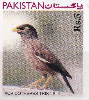 (image for) Pakistan Stamp 1976 Bird Acridotheres Unissued MNH