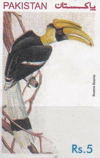 (image for) Pakistan Stamp 1976 Bird Buceros Blcormis Unissued MNH