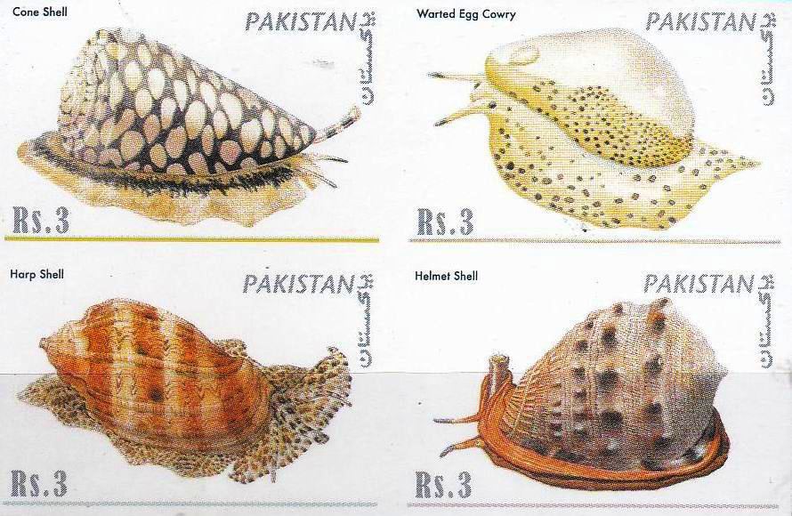 (image for) Pakistan Stamps 1983 Cone Shells Unissued