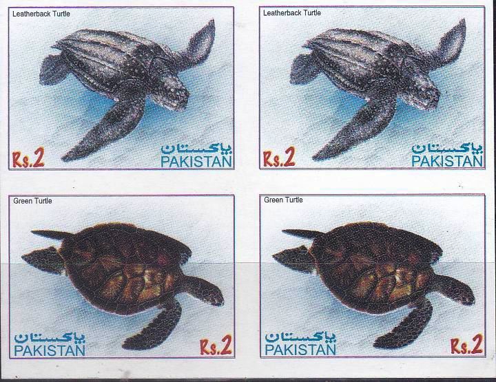 (image for) Pakistan Stamps 1983 Cone Turtles Unissued