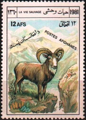 (image for) Afghanistan 1981 Stamps Markhor Sheep MNH