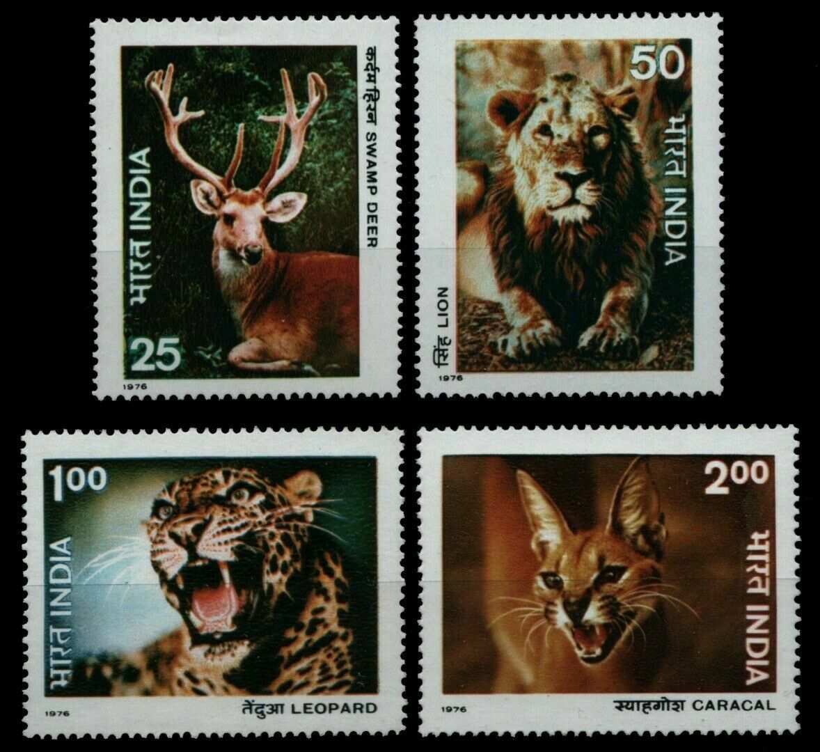 India 1976 Fdc & Stamps Wildlife Lions Tiger Leopard Cat - Click Image to Close