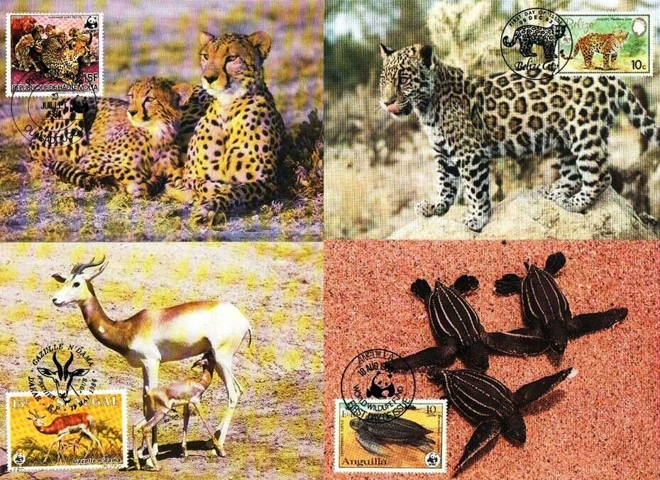(image for) WWF Upper Volta 1984 Beautiful Maxi Cards Cheetah