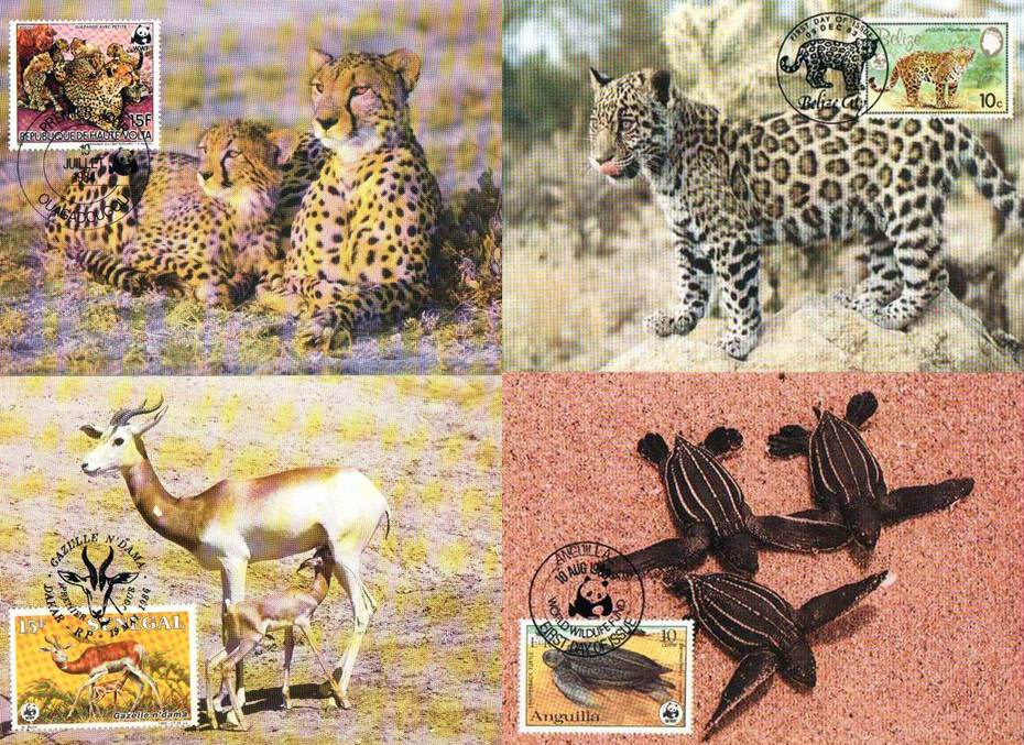 (image for) WWF Volta 1983 Beautiful Maxi Cards Snow Leopard Gazelle Turtles