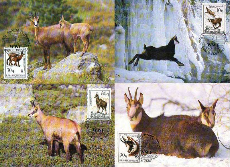 (image for) WWF Shqiptare 1990 Beautiful Maxi Cards Mountain Deer