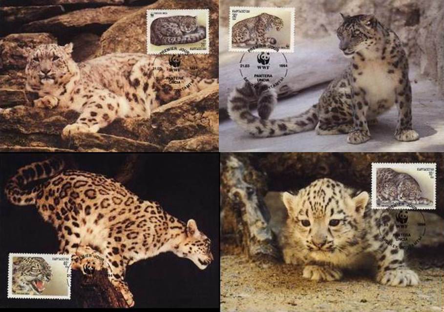 (image for) WWF Kyrgyzstan 1994 Beautiful Maxi Cards Snow Leopard