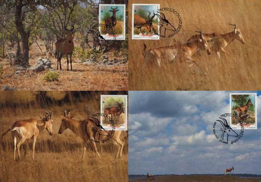 (image for) WWF Mozambique 1991 Beautiful Maxi Cards Hartebeest