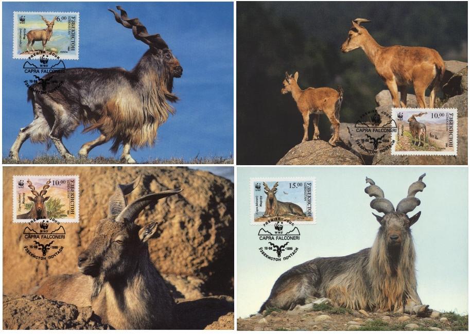 (image for) WWF Uzbekistan 1995 Beautiful Maxi Cards Markhor