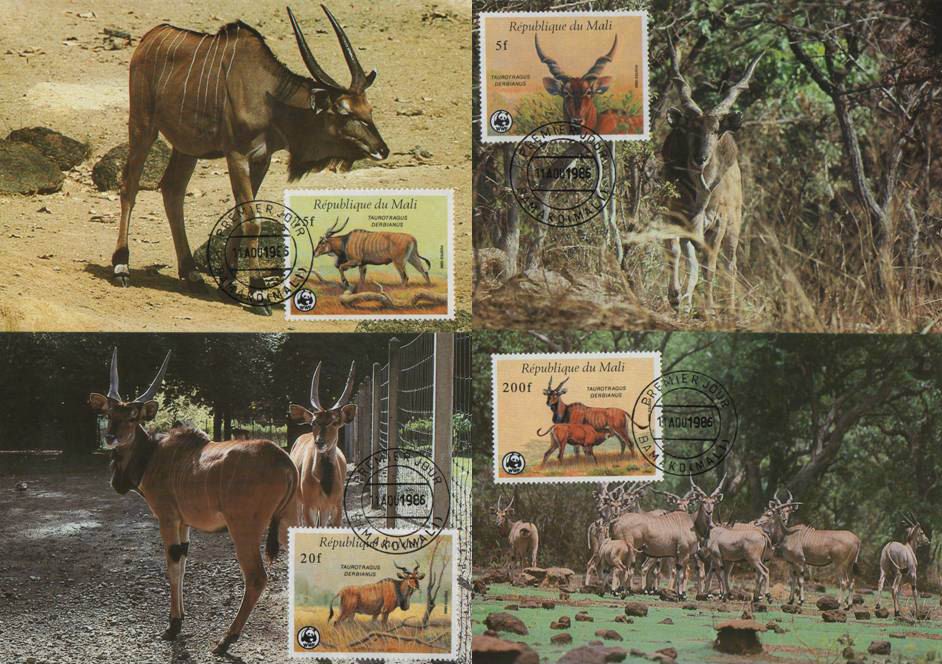 (image for) WWF Mali 1986 Beautiful Maxi Cards Western Giant Eland