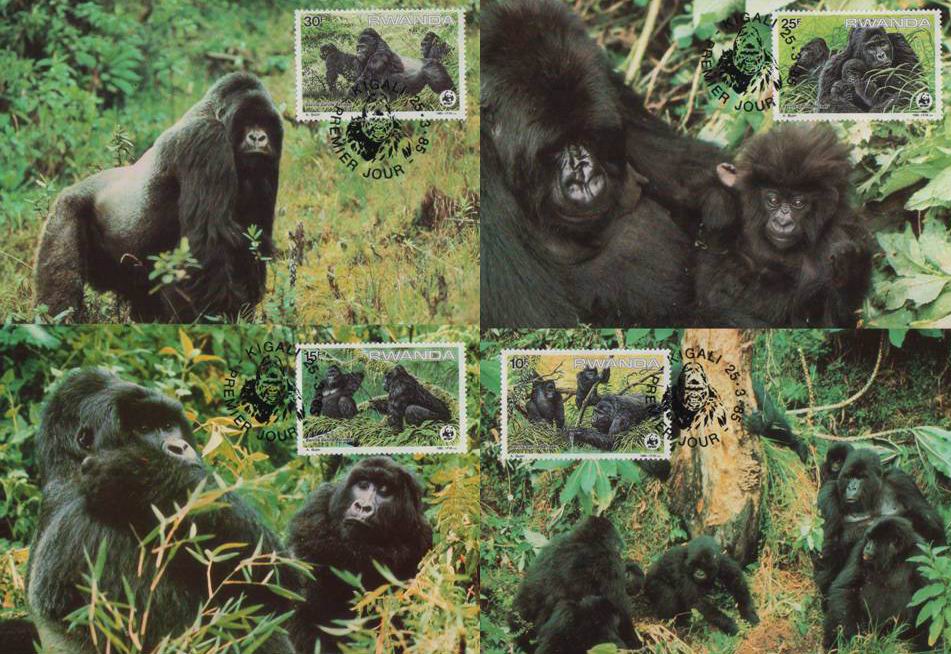 (image for) WWF Rwanda 1985 Beautiful Maxi Cards Mountain Gorilla