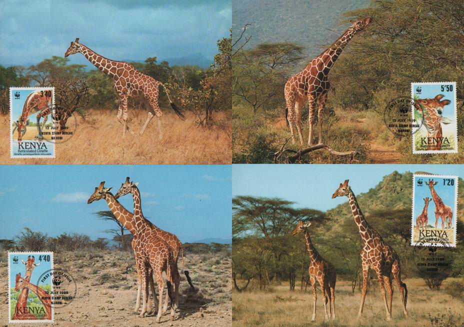 (image for) WWF Kenya 1989 Beautiful Maxi Cards Giraffe