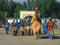Pakistan Beautiful Postcard Camel Dance