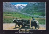 Pakistan Beautiful Postcard Arundu Village Skardu