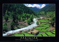 Pakistan Beautiful Postcard Atror Valley