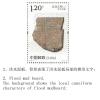 China 2020 Stamps Asian Civilization Moenjodaro Harappa Unesco