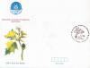 Pakistan Fdc 1998 Brochure & Stamp Medicinal Plant Dhatura