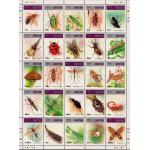 Bhutan 1997 Stamp Sheet Insects