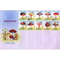 Pakistan 2005 Fdc & Stamp Mushrooms Medicinal Plant