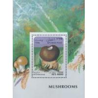 Afghanistan 1996 S/Sheet Mushrooms