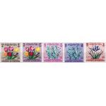 Afghanistan 1964 Stamps Teachers Day Flowers