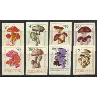 Bulgaria 1961 Stamps Imperf Mushrooms