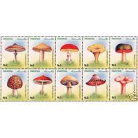 Pakistan 2005 Stamps Mushrooms Medicinal Plants