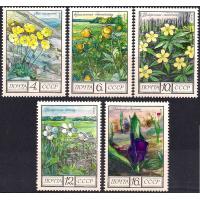 Russia 1975 Stamps Regional Flowers MNH