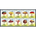 Pakistan Stamps 2005 Medicinal Plants Mushrooms