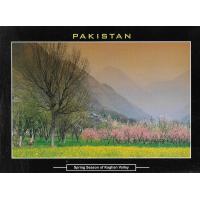 Pakistan Beautiful Postcard Spring Season Of Kaghan Valley