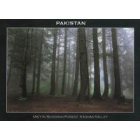 Pakistan Beautiful Postcard Kaghan Valley