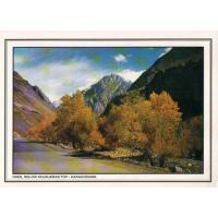 Pakistan Beautiful Postcard Dhee Valley