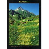 Pakistan Beautiful Postcard Kaghan Valley