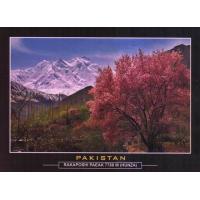 Pakistan Beautiful Postcard Spring On Rakaposhi