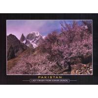 Pakistan Beautiful Postcard Spring On Ladyfinger Peak