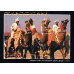 Pakistan Beautiful Postcard Camel Dance at Horse & Cattle Show
