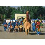Pakistan Beautiful Postcard Camel Dance