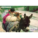 Pakistan Beautiful Postcard Spring Migration Swat