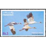 Pakistan Stamps 1983 Wildlife Siberian Crane