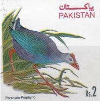 Pakistan Stamp 1976 Bird Porphyrio Unissued MNH