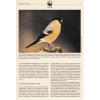 WWF Portugal 1990 Fdc Maxi Cards & Stamps Bullfinch Birds