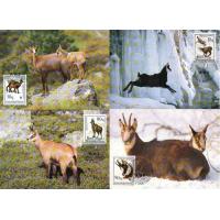 WWF Shqiptare 1990 Beautiful Maxi Cards Mountain Deer