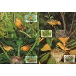 WWF Barbados 1991 Maxi Cards Yellow Warbler Gold Forest Singer