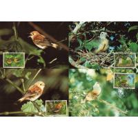 WWF Cook Island 1989 Maxi Cards Birds Rarotonga Flycatcher